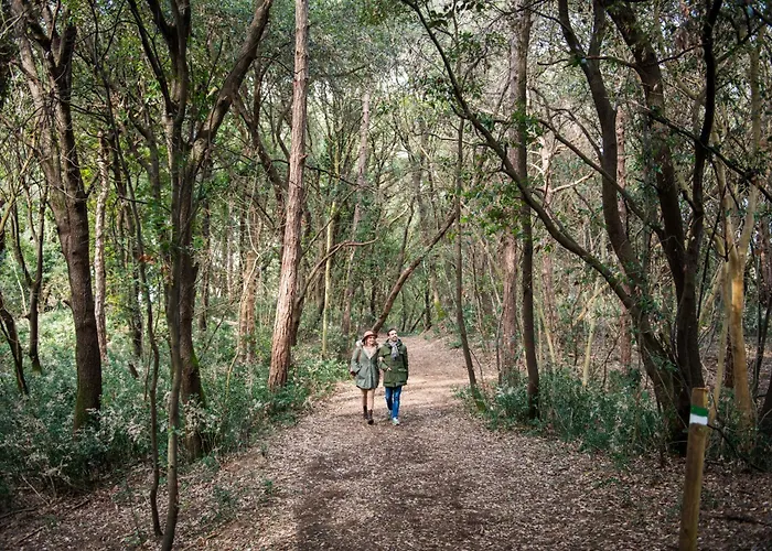 Ξενοδοχείο Savoy & Thermal Μπιμπιόνε